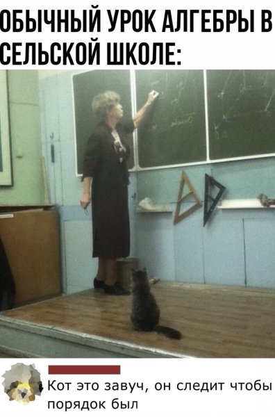 Приколы про завуча школы
