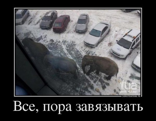 Приколы пора завязывать
