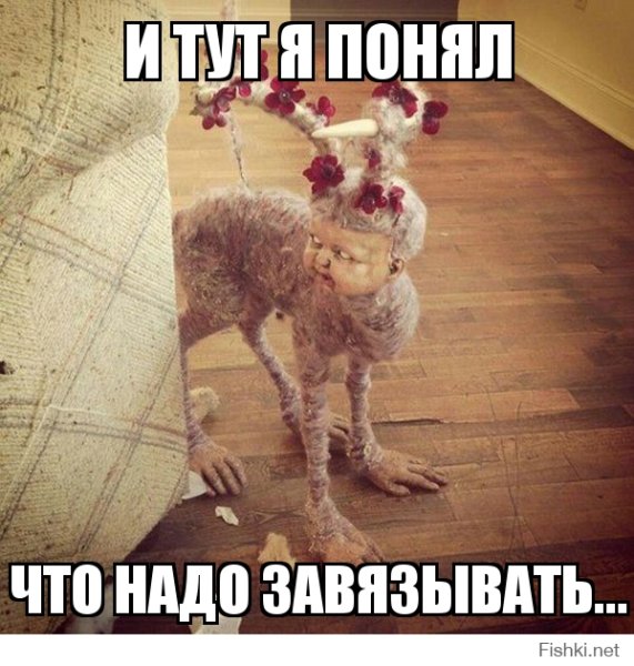 Пора бухать приколы