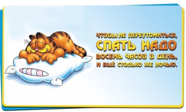 Спать прикольные