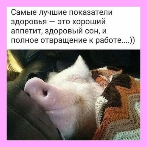 Прикольных снов