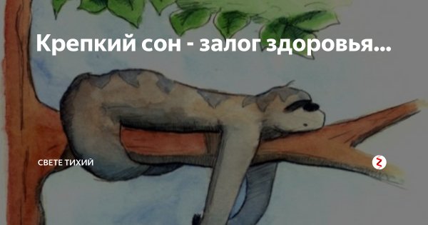 С крепкий сон