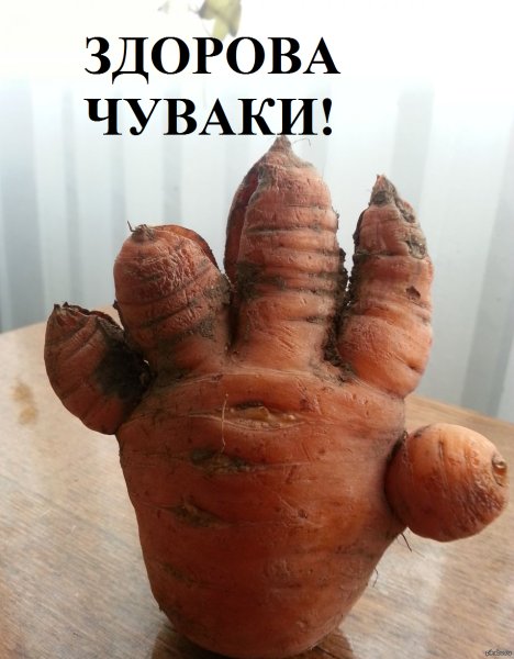 Здорова всем прикольные