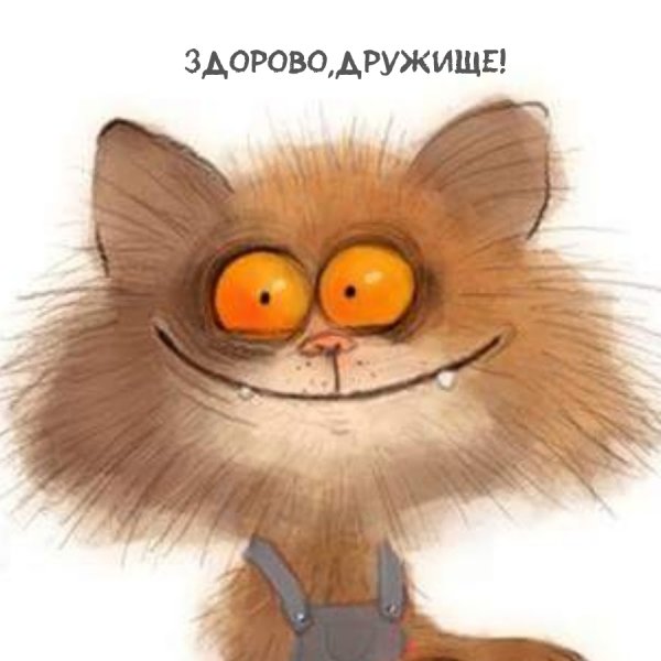 Здорово дружище