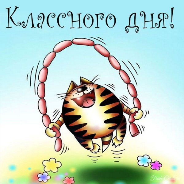 Веселые открытки