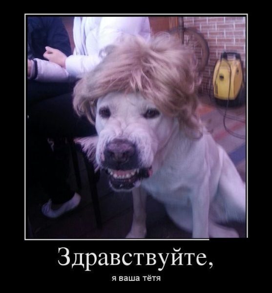 Здрасте картинки прикольные