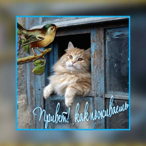 С хорошим весенним днем с животными