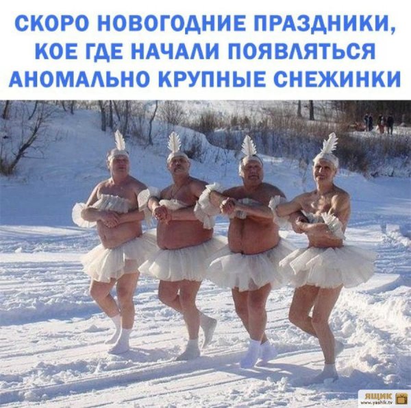 Смешные снежинки