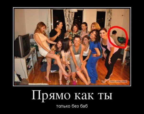 Демотиваторы про корпоративную вечеринку