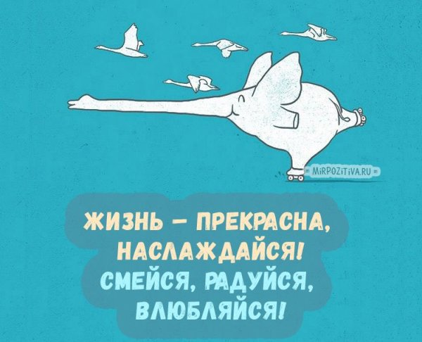 Жизнь прекрасна открытки прикольные