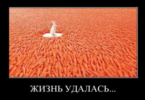 Жизненные приколы