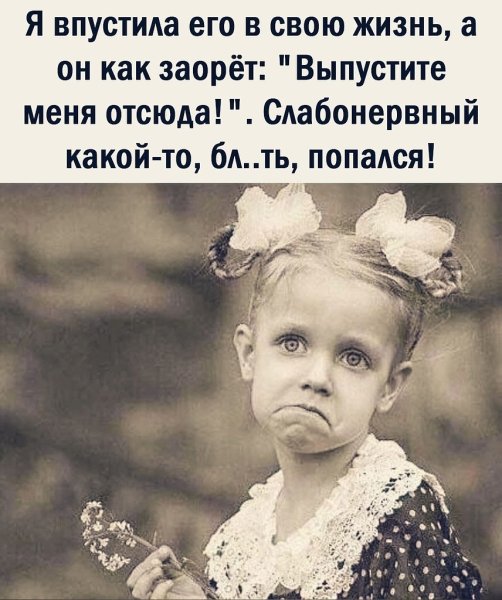 Красивые шутки