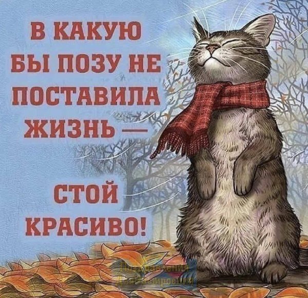 Открытки не падать духом