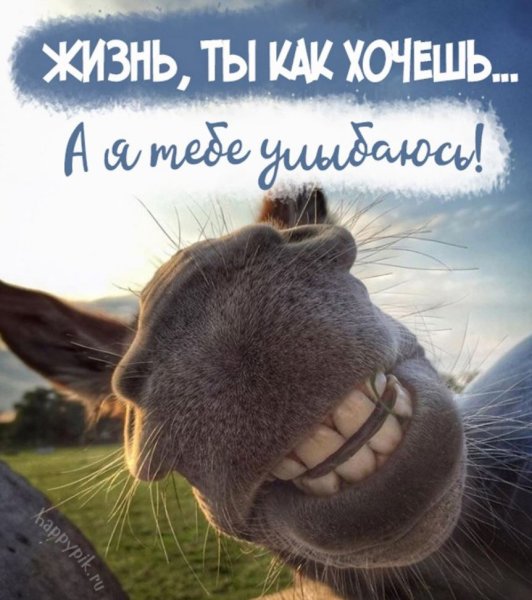 Позитивные открытки