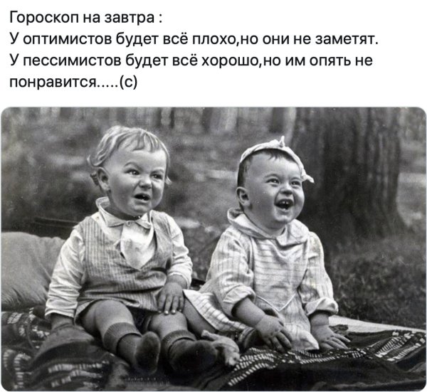 Прикольные цитаты