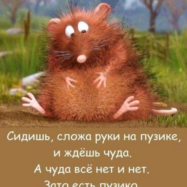 Смешные картинки