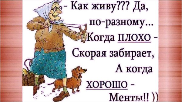 Афоризмы с юмором