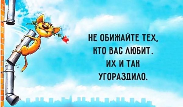 Смешные советы дня