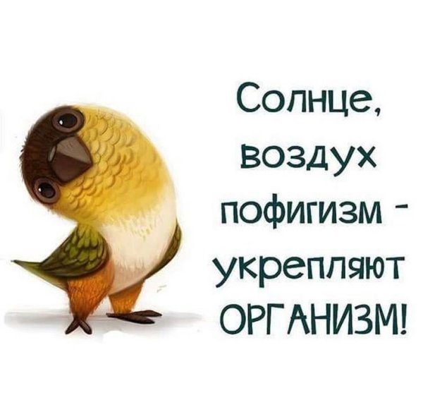 Солнце воздух пофигизм укрепляет организм