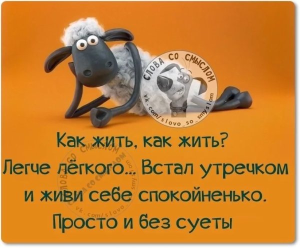 Весёлые афоризмы для поднятия настроения