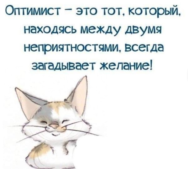 Оптимизм смешные высказывания