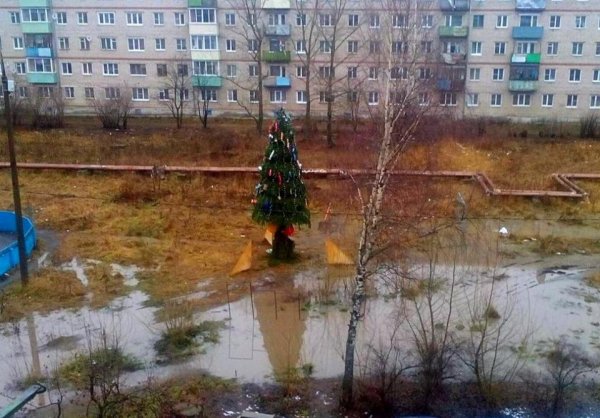 Про зиму без снега с юмором