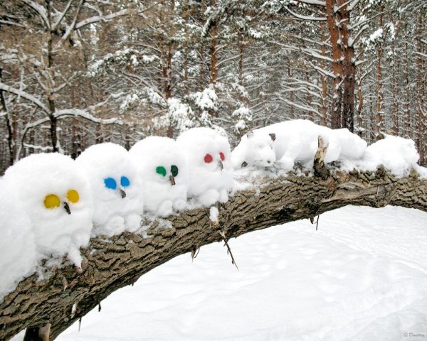 Позитивное зимнего
