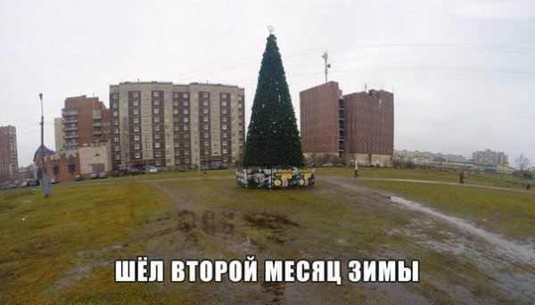 Шутки про зиму без снега