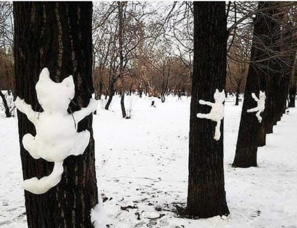 Кошка из снега на дереве