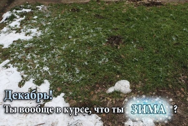 Первый день зимы а снега нет