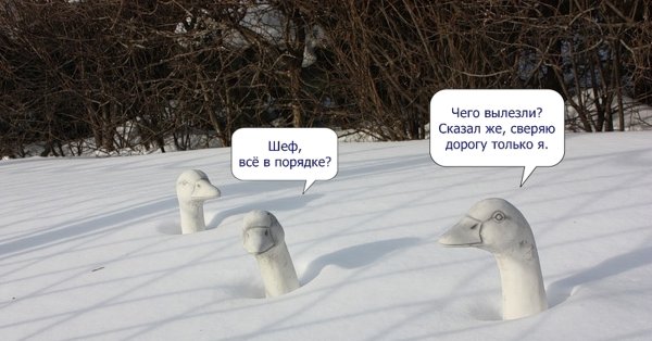 Шутки про снежную весну
