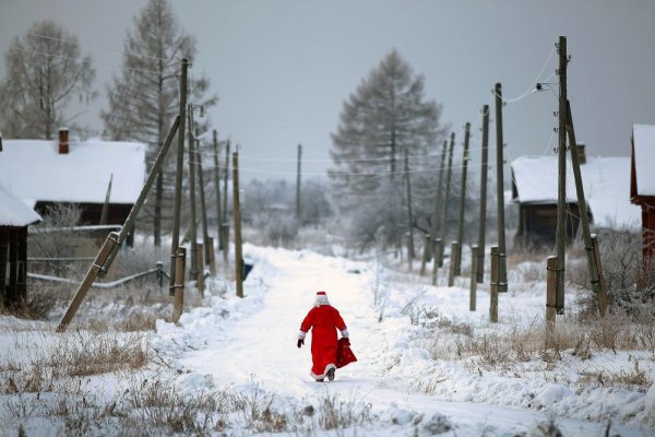 Новый год в деревне