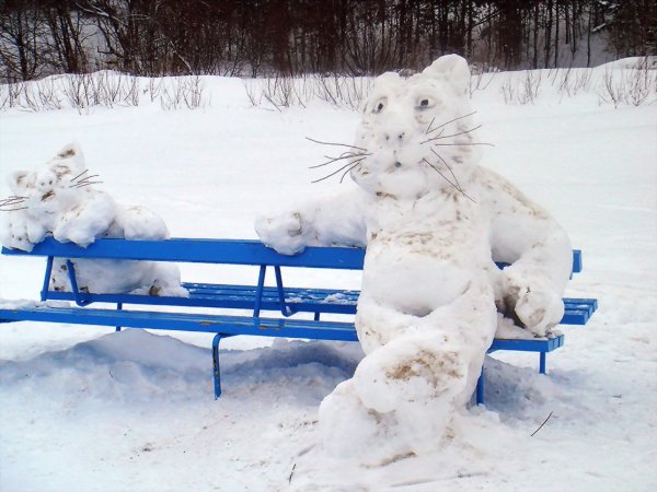 Зима прикольные