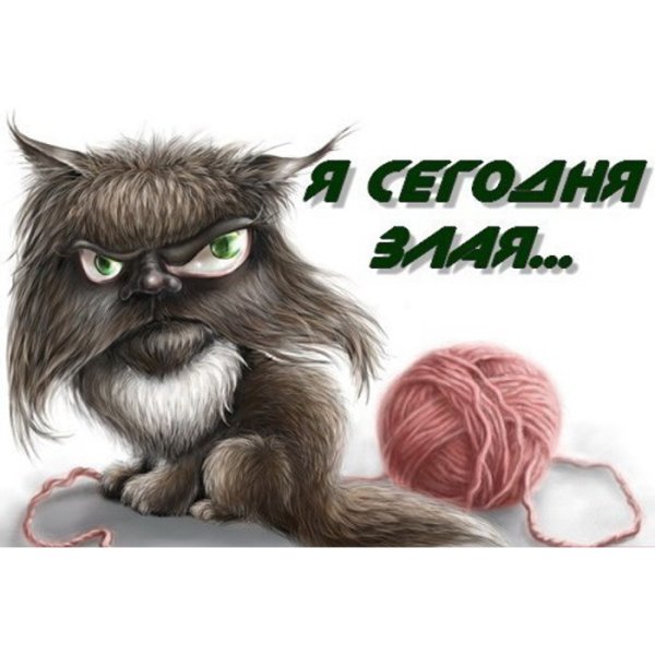 Открытка ты злой
