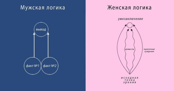 Женскаяи мужская лргика