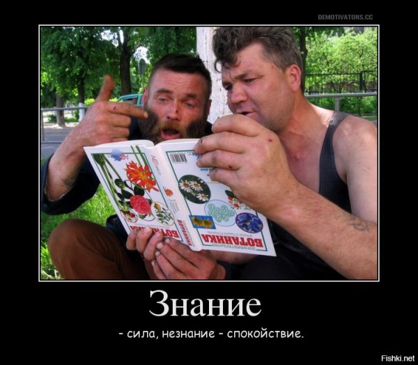 Знания силадемовиатор