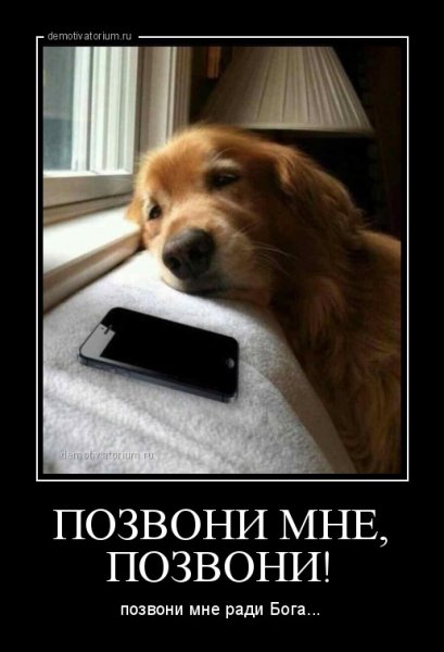 Позвони мне прикол