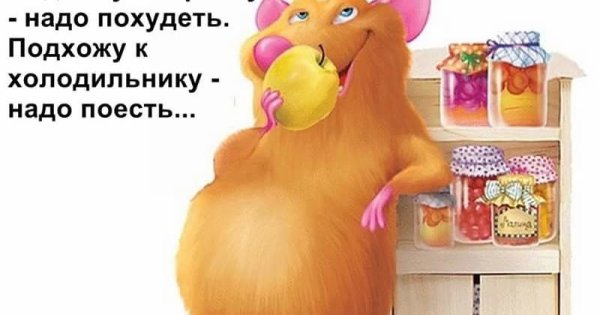 Смешные картинки про похудение